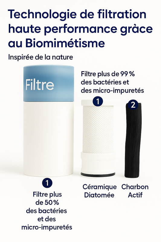 Filtres Vekkex